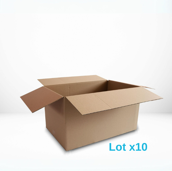 10 cartons taille L
