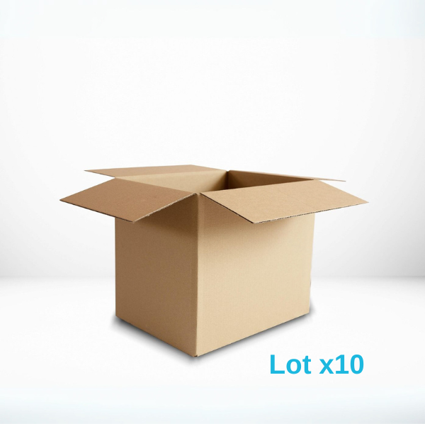 10 cartons taille S
