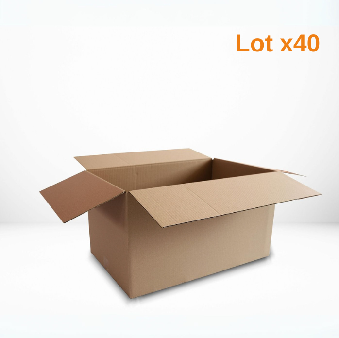 40 cartons taille L